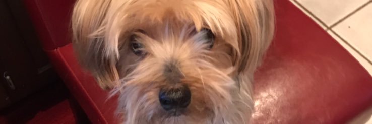 SPEDTEACH01's profile banner image