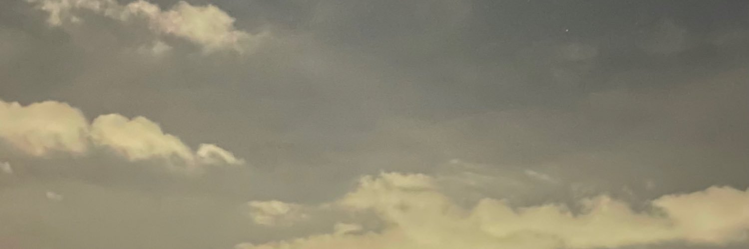 oieliii's profile banner image