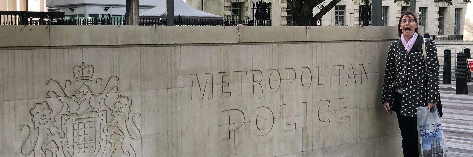 Sarah Pottenger banner