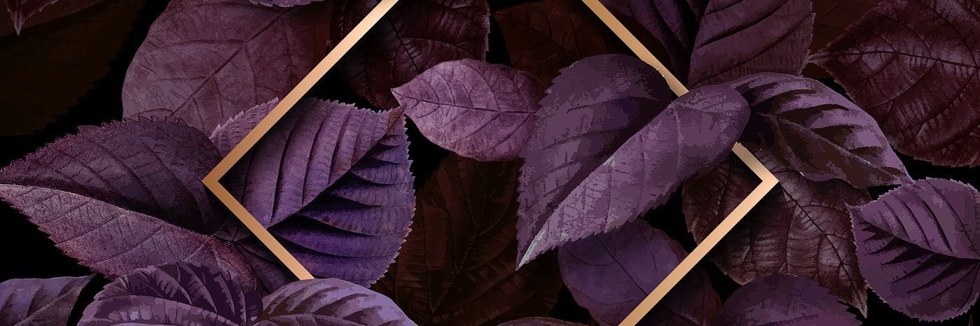 TridentWars's profile banner image