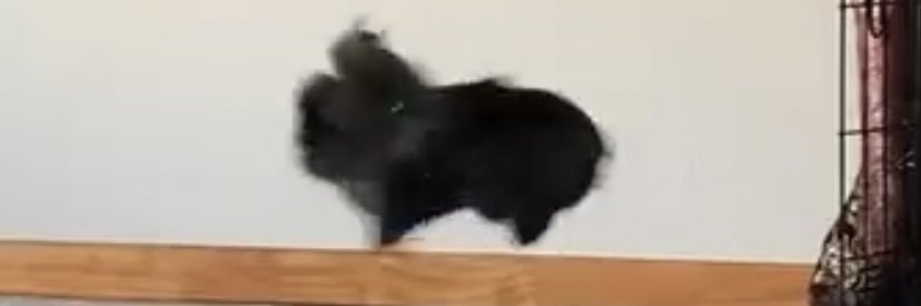 Malu banner