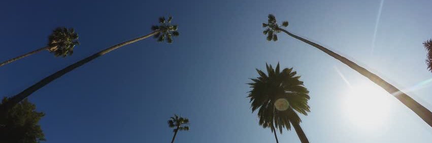 ZBSavoy's profile banner image
