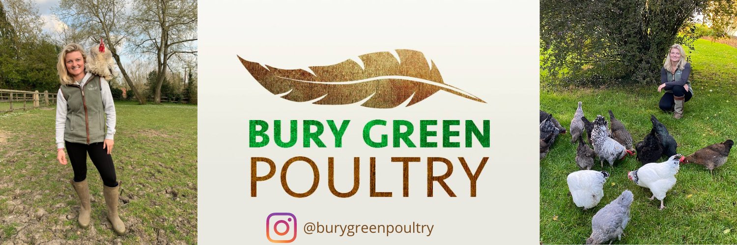 BGPoultry's profile banner image