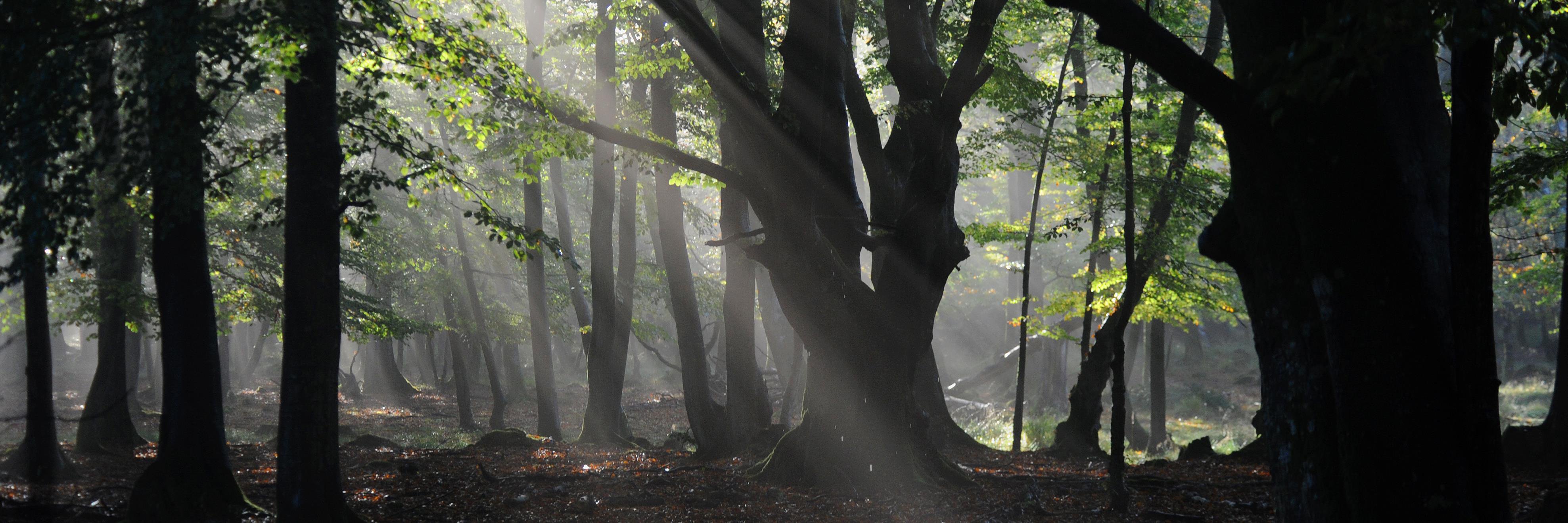 Aage V. Jensen Naturfond banner