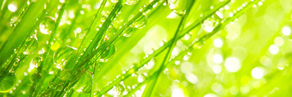 The Maker Garden banner