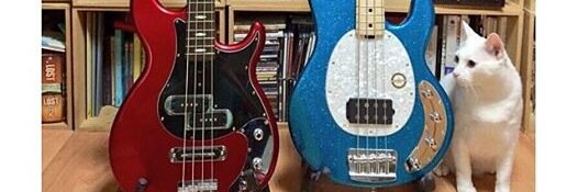 EmilySound's profile banner image