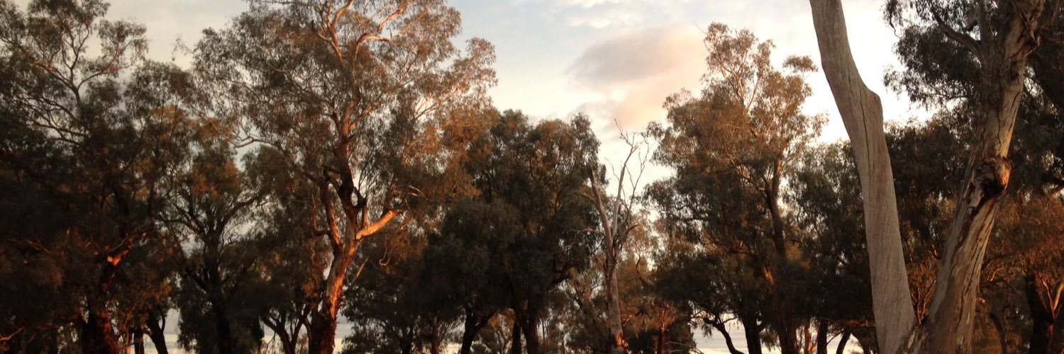 StephPulsford's profile banner image