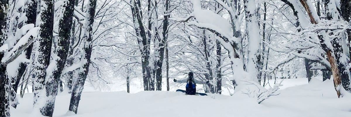tomybarale's profile banner image
