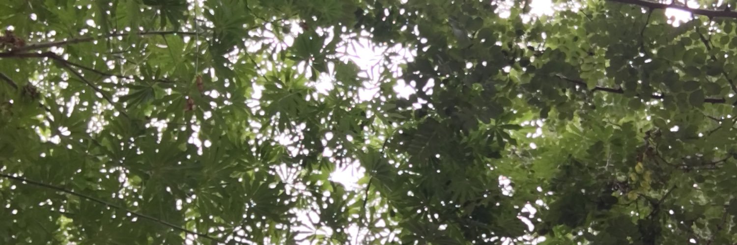 MarioCSGazal's profile banner image