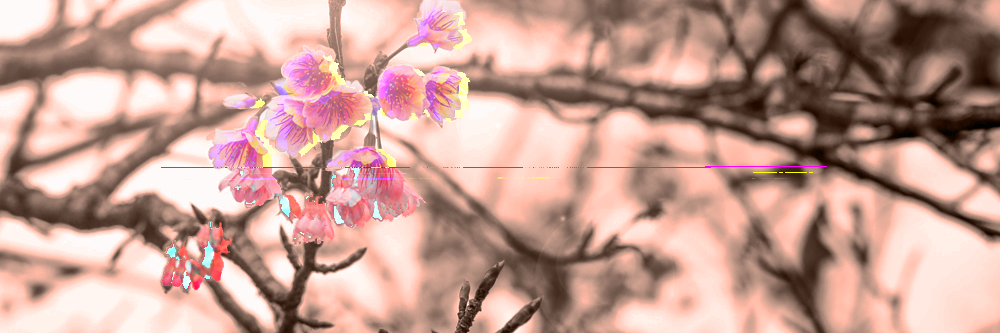 phgQED's profile banner image