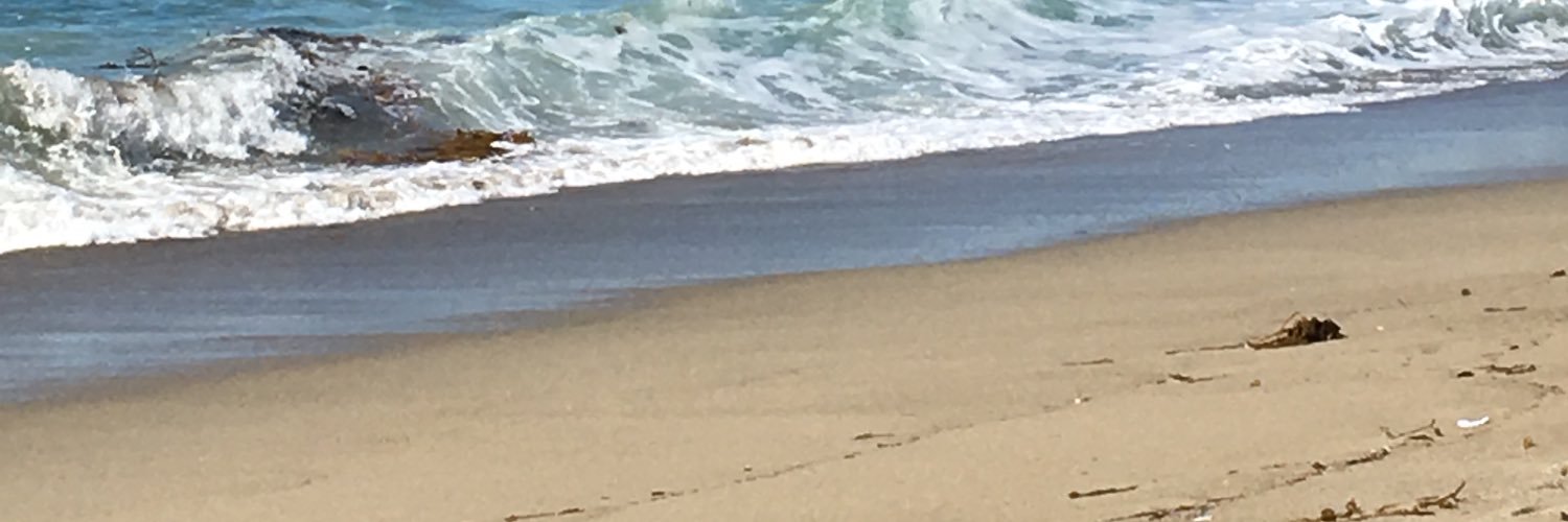 drturner13's profile banner image