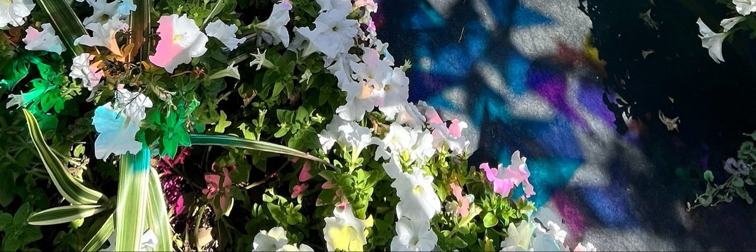 iguessitssofia's profile banner image