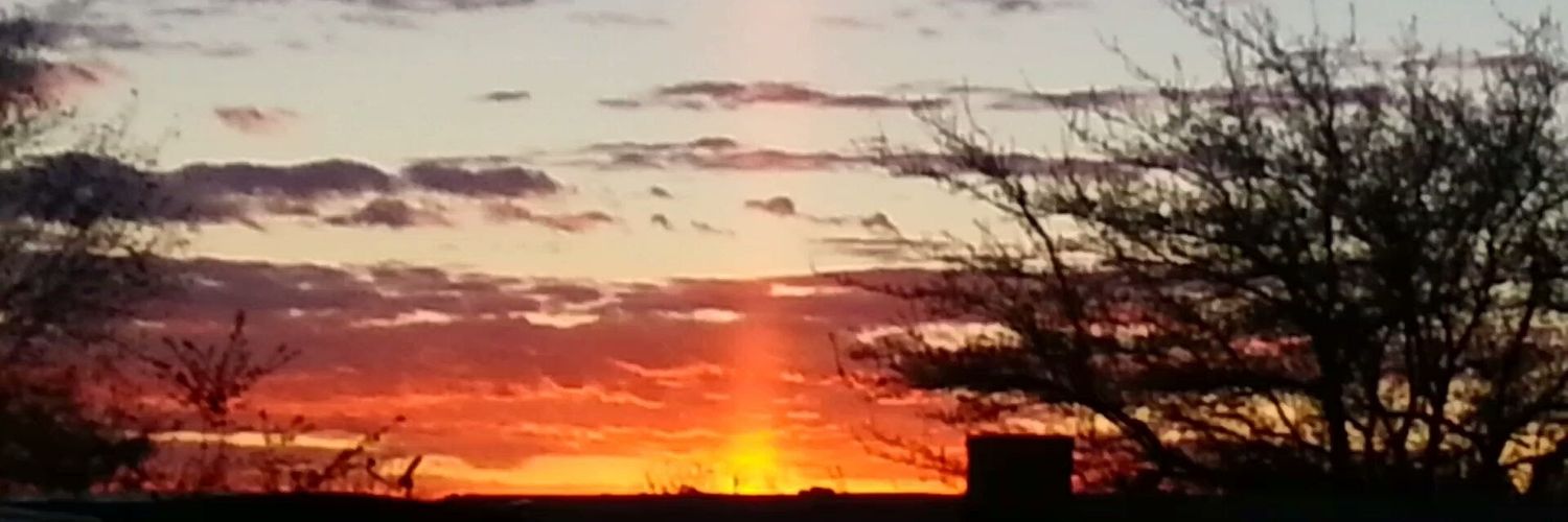 Steven Cooley banner