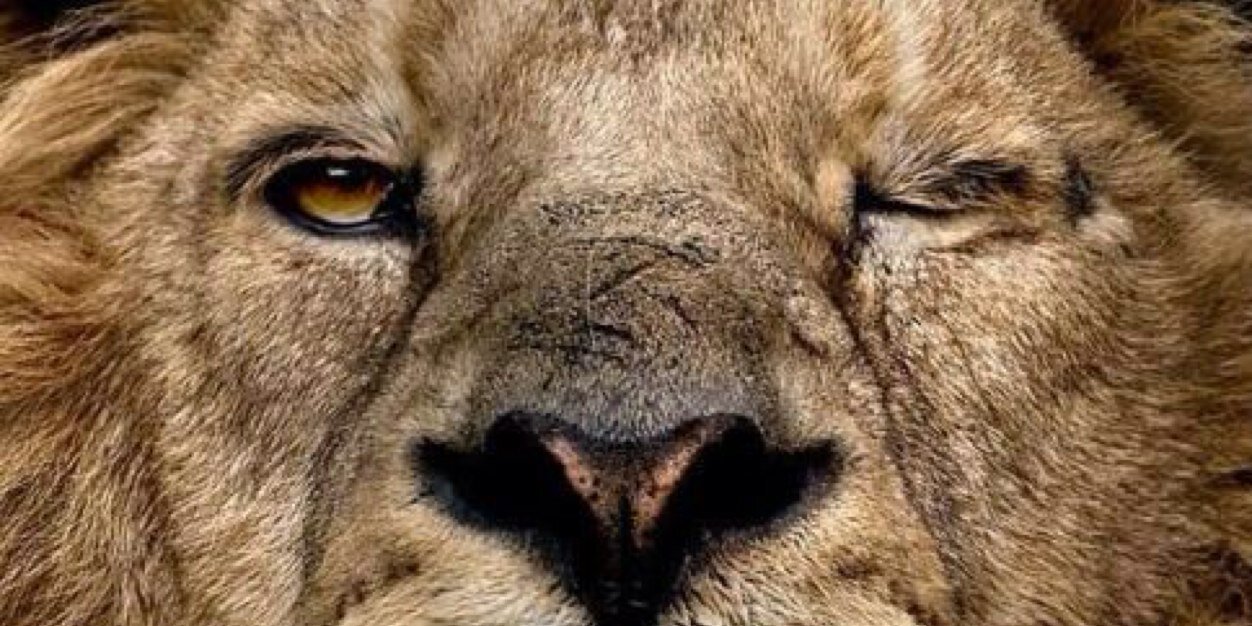 EmreDuman54's profile banner image