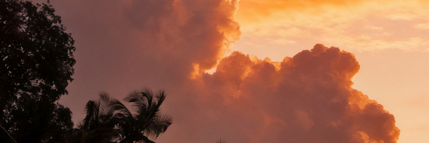 woochips_'s profile banner image