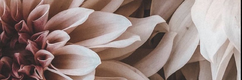 ShaunaMeyerr's profile banner image