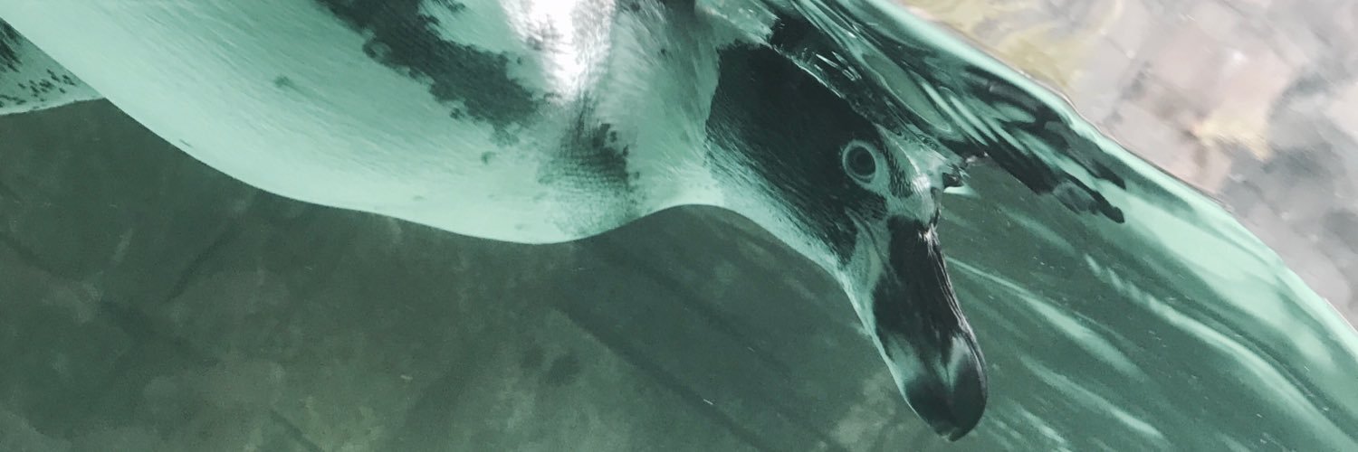ulvassakinah's profile banner image