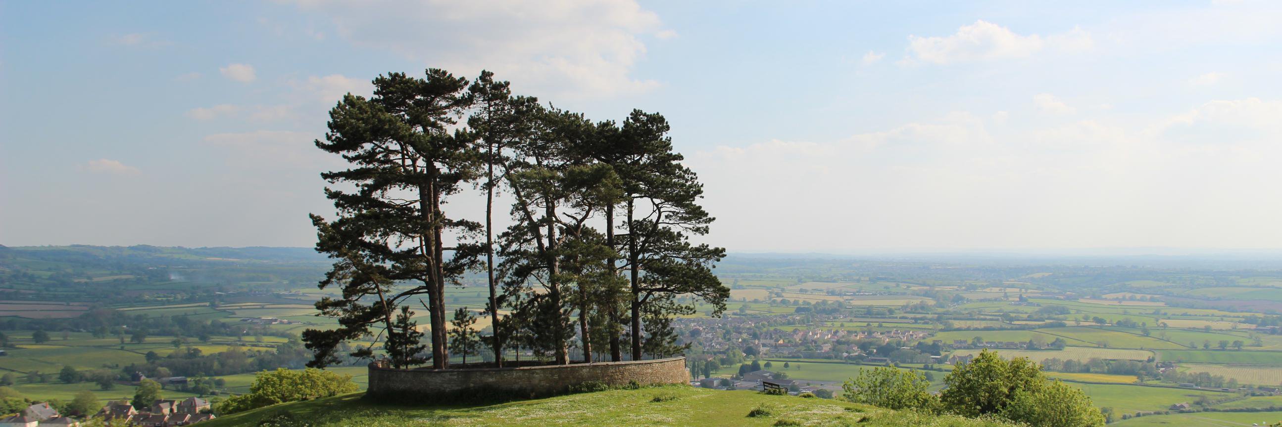 Cllr Catherine Braun banner