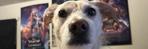 NeilLumbard Profile Banner