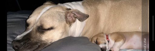 haleyjade77's profile banner image