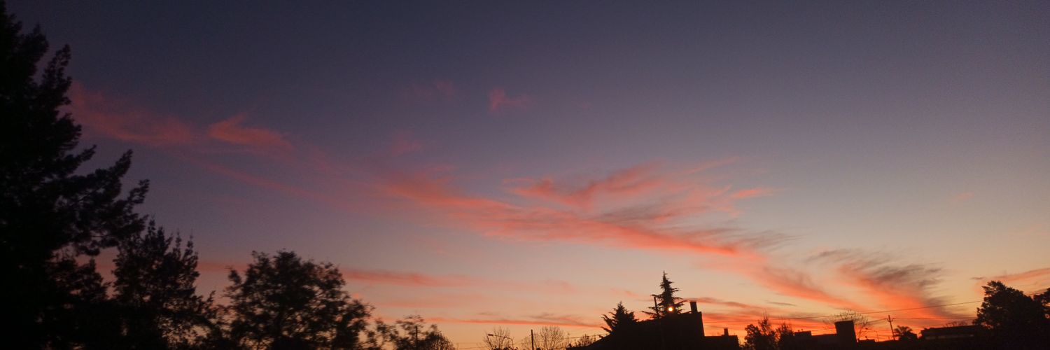 camiamitrano__'s profile banner image