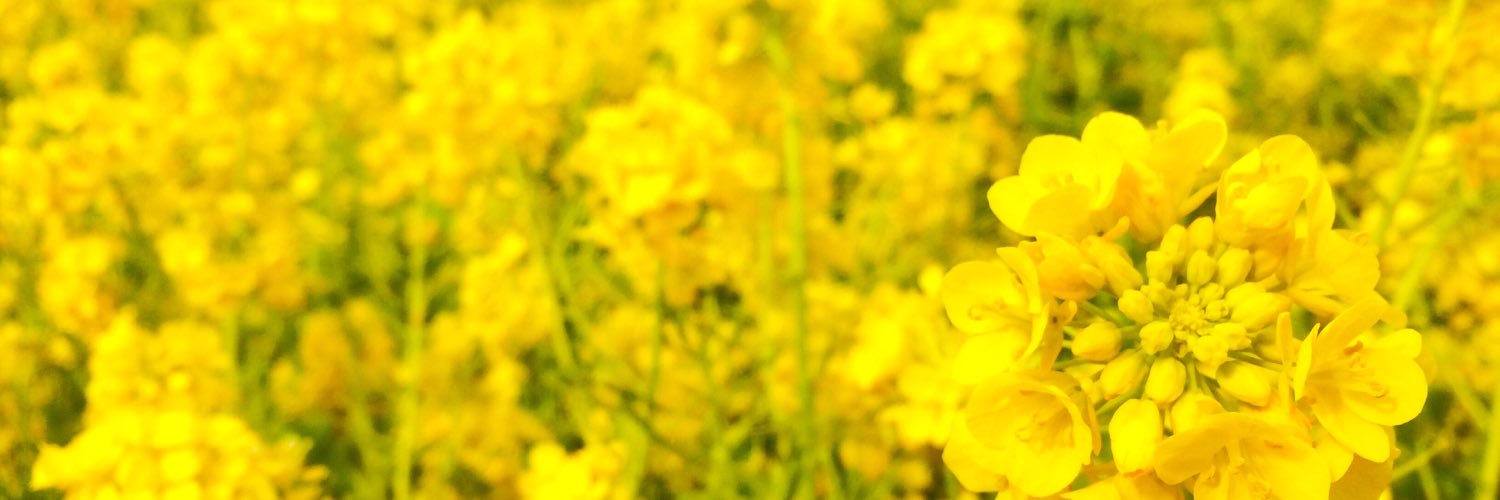 naooa's profile banner image