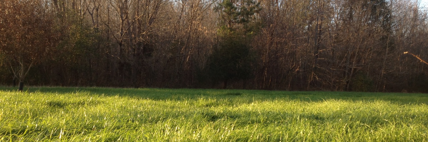 cnmcclus's profile banner image