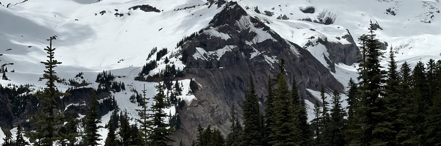 mollymcc3's profile banner image