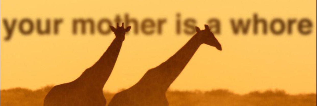 Jace banner