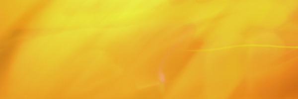 wallie Profile Banner