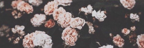 chizcakeB's profile banner image