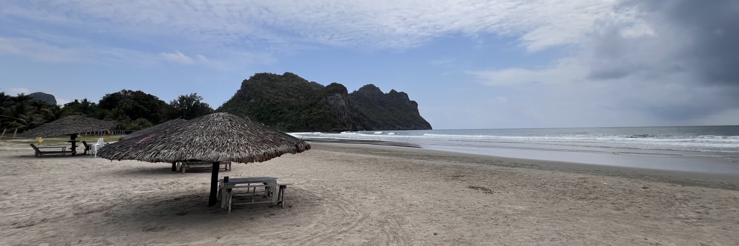 🐷💚 ･:♫•*ℒ𝒫 *•.¸¸♡*:･❤️🐰 banner