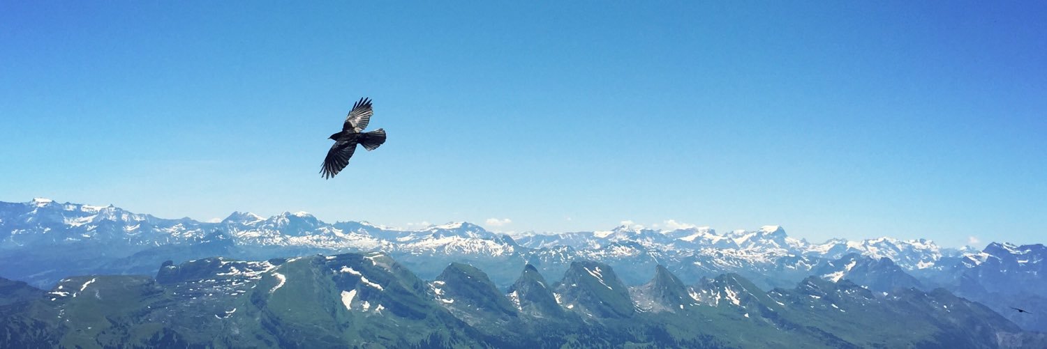 Heli_nen's profile banner image