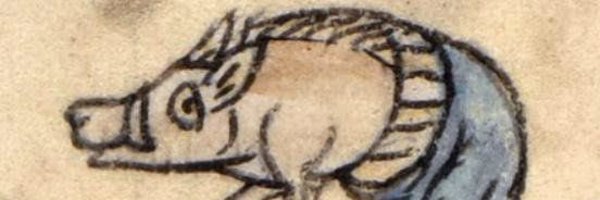 nicehumanbean Profile Banner