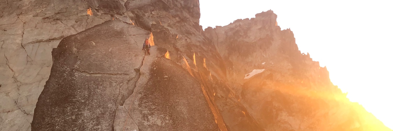 Levi Pulkkinen banner