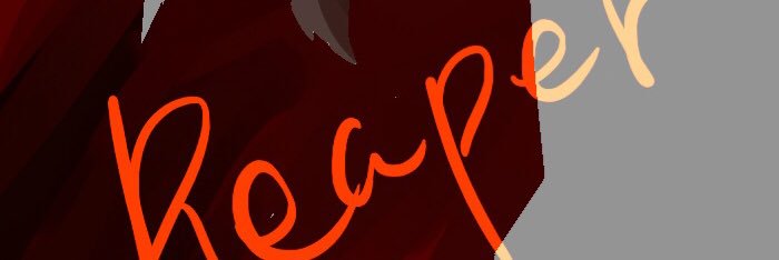 phy_reaper's profile banner image