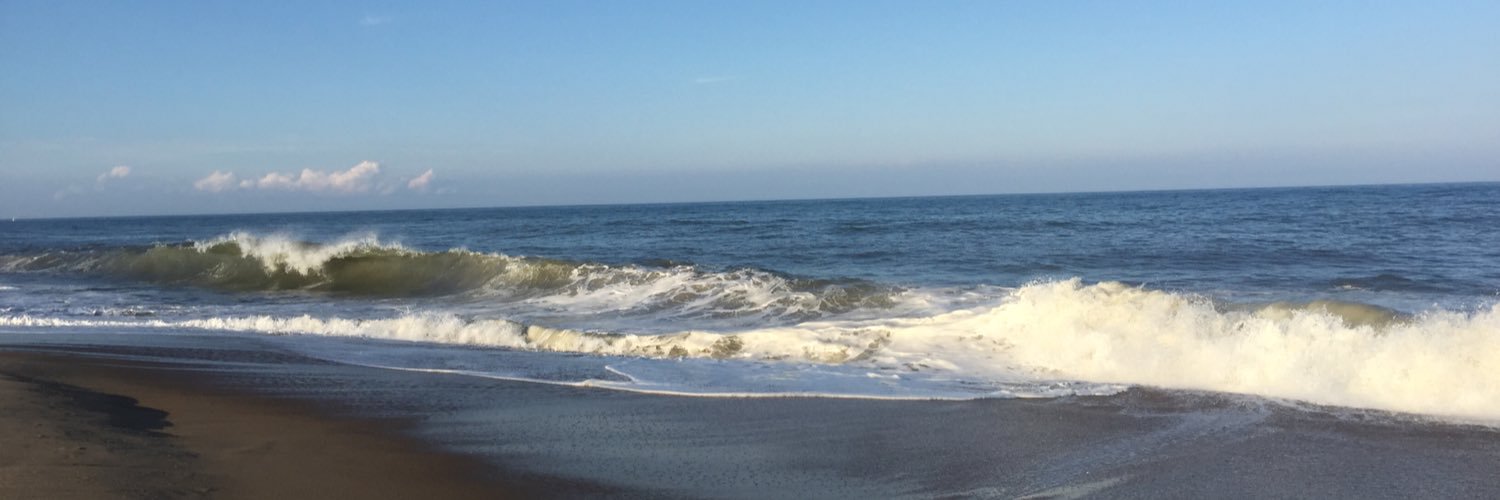 debbieherron's profile banner image