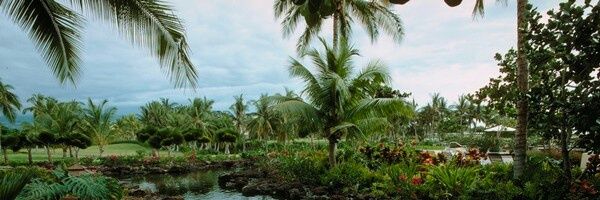vinayakbharmal's profile banner image