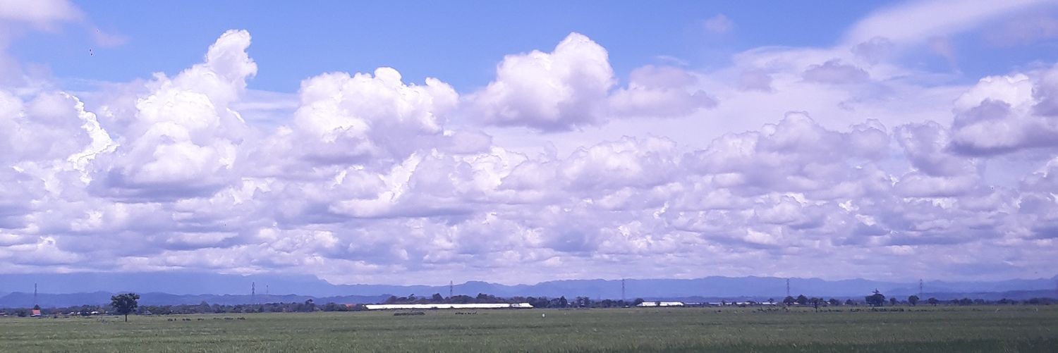 vitamfi's profile banner image