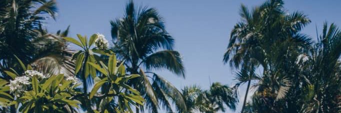 albigaa's profile banner image