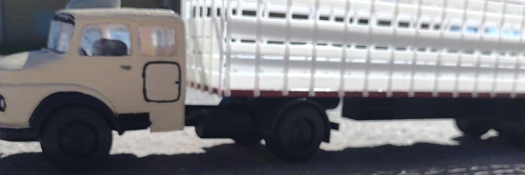 carecedesentido🇦🇷 banner