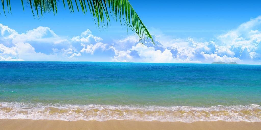 sunshynejo's profile banner image