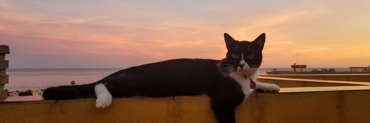 MJ_Marshall's profile banner image