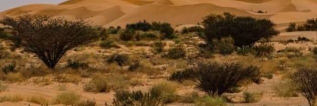 abuhatam02's profile banner image