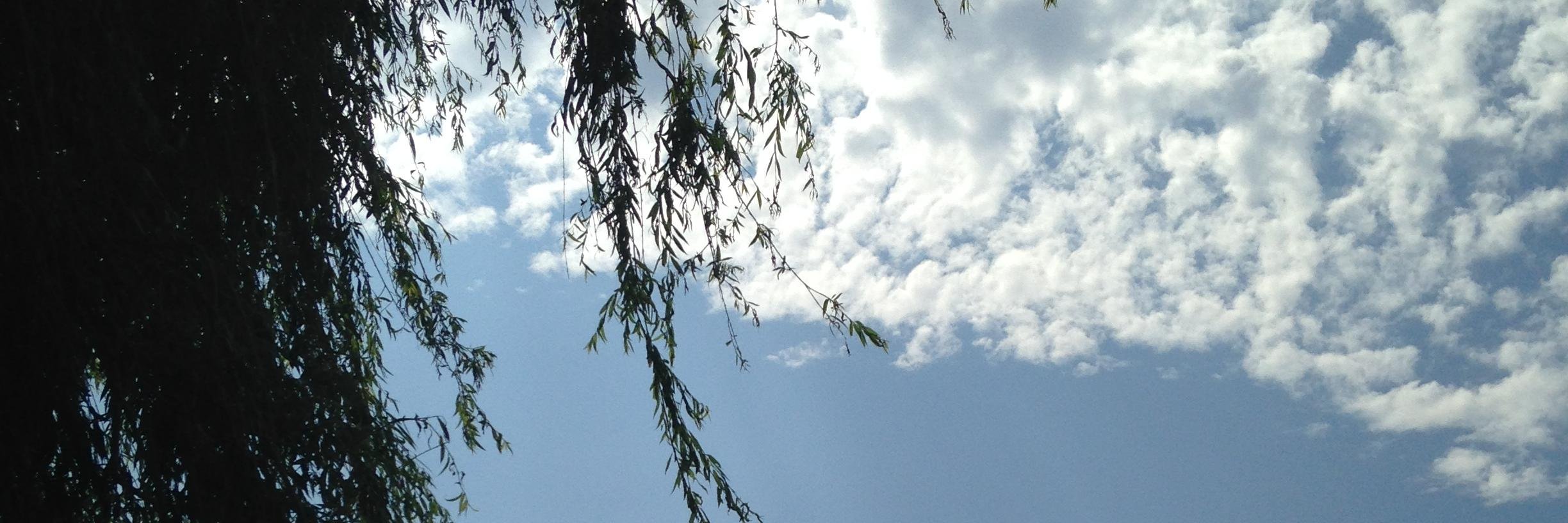 Bhuvana Subramanyan banner