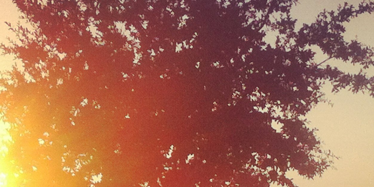 Stefany_Kaiser's profile banner image