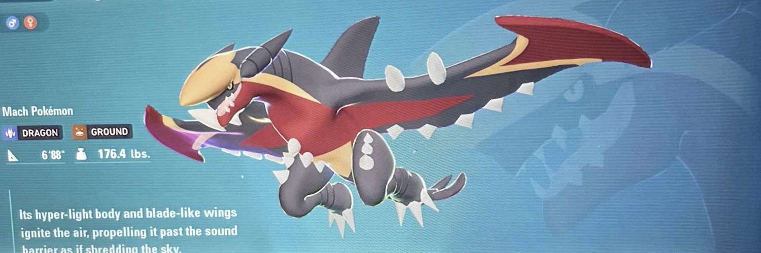 AHomlessStray's profile banner image