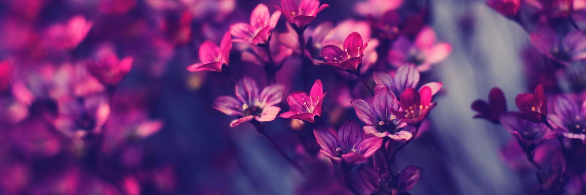 _EceKarakas_'s profile banner image