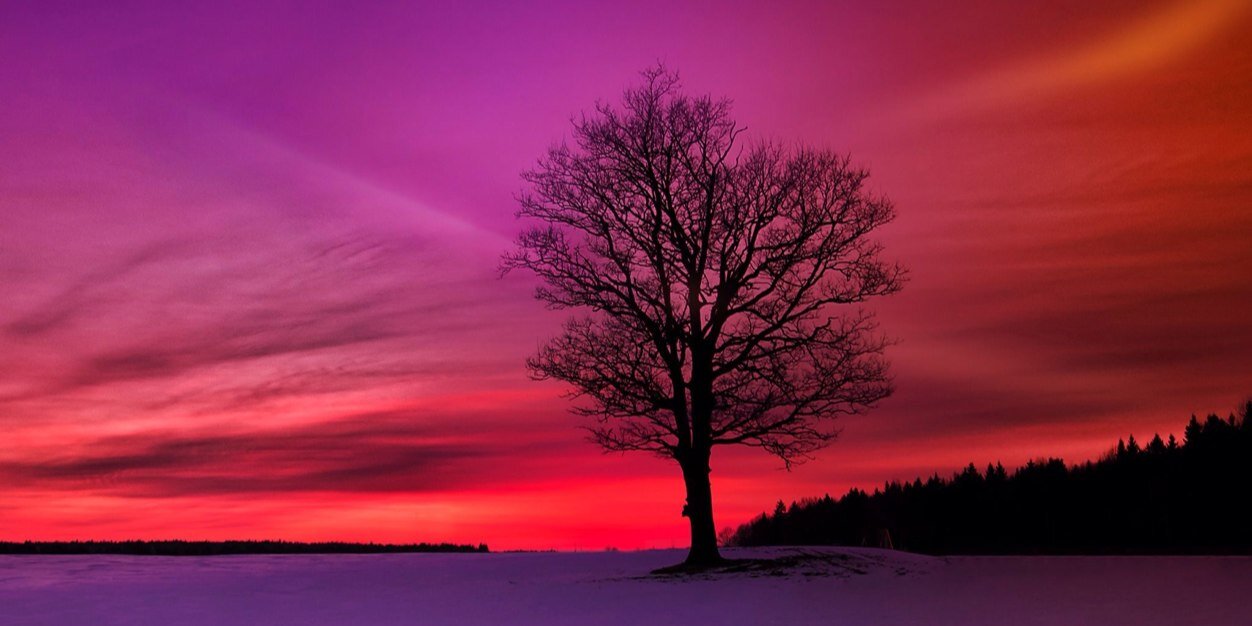Samijane2609's profile banner image