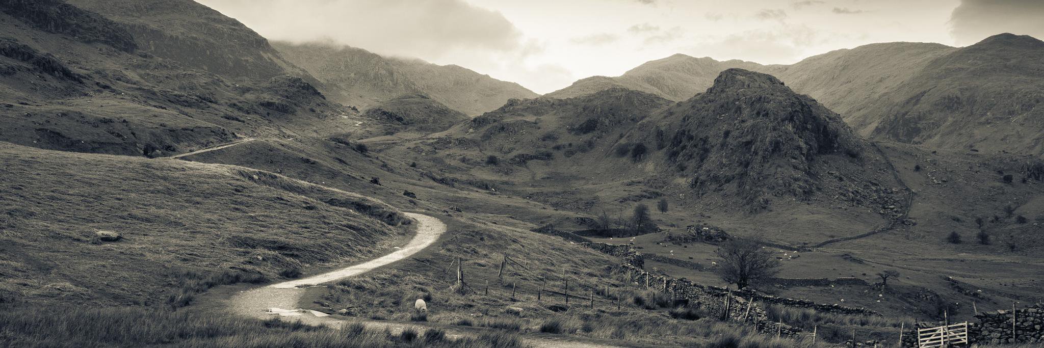 KOM_coaching's profile banner image